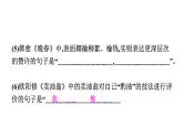 初中语文七年级下册期中综合测评卷(  一  )课件（共51张PPT）