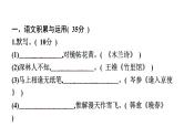 初中语文七年级下册期中综合测评卷(  二  )课件（共53张PPT）