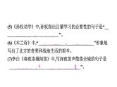 初中语文七年级下册期中综合测评卷(  二  )课件（共53张PPT）