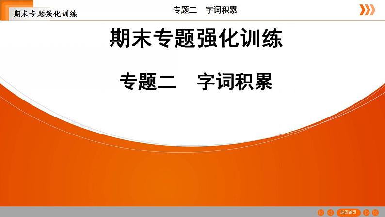 部编版语文七年级下册专题训练 字词积累（共21张PPT）第1页