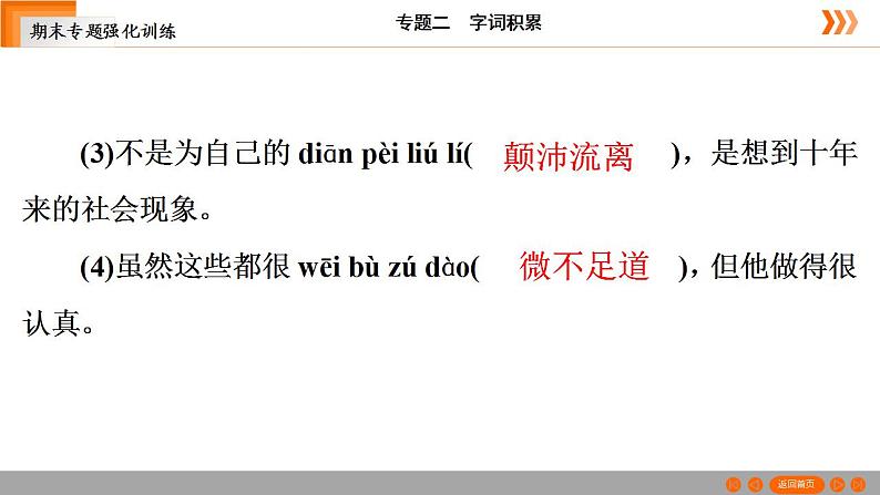部编版语文七年级下册专题训练 字词积累（共21张PPT）第5页