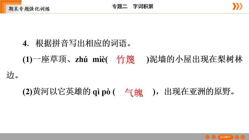 部编版语文七年级下册专题训练 字词积累（共21张PPT）第7页