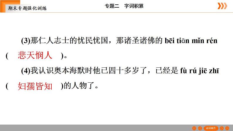 部编版语文七年级下册专题训练 字词积累（共21张PPT）第8页