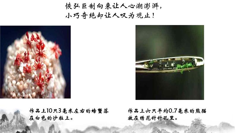 第11课《核舟记》课件2021—2022学年部编版语文八年级下册第1页