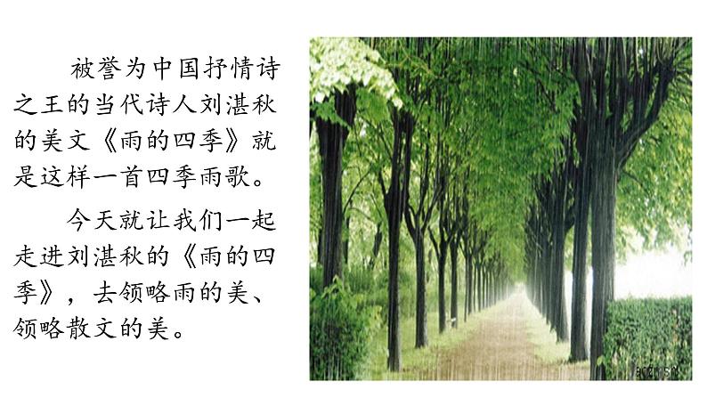 3 雨的四季 课件（共36张PPT）03