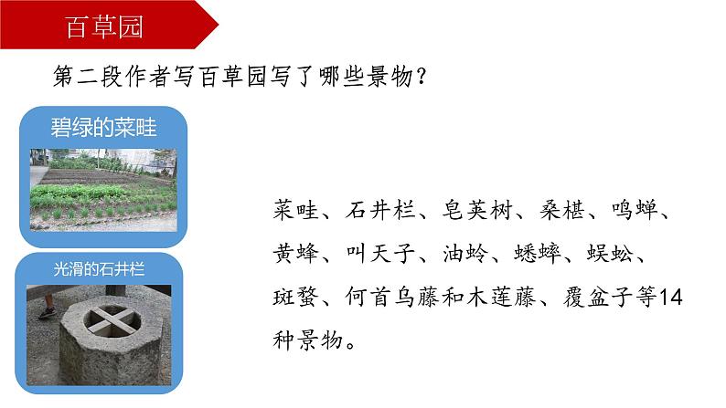 9 从百草园到三味书屋 课件（共23张PPT）04