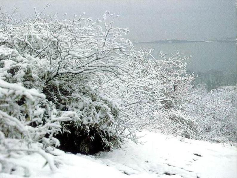 湖心亭看雪 课件（30张PPT）08