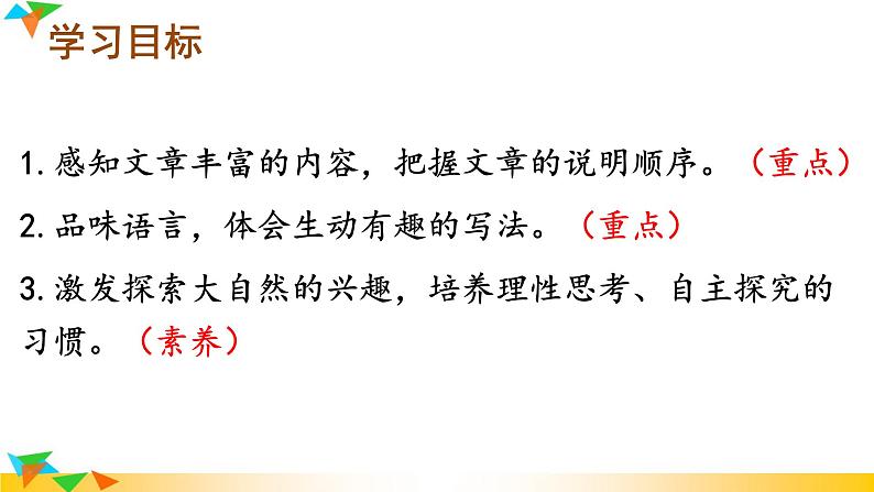 时间的脚印 课件（共18张PPT）06