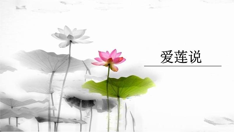爱莲说 课件（共18张PPT）第1页