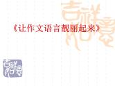2022年中考语文二轮专题复习：作文指导之《让作文语言靓丽起来》课件（25张PPT）