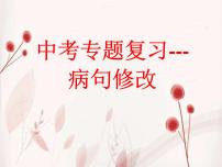 2022年中考语文二轮专题：病句修改（共28张PPT）