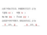 2021—2022学年部编版语文七年级下册第五单元检测卷（共52张PPT）