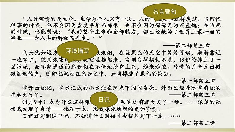 第六单元名著导读《钢铁是怎样炼成的》课件（共22张PPT）2021-2022学年部编版语文八年级下册08