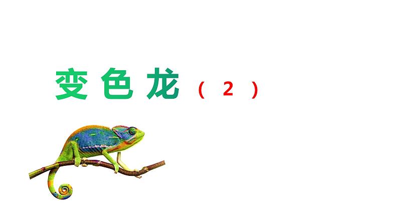 部编版九年级下册：第6课《变色龙》 共2课时 课件01