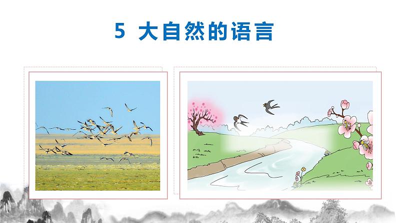 第5课《大自然的语言》课件第2页