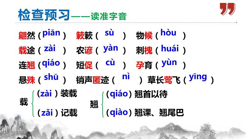 第5课《大自然的语言》课件第7页