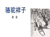 第三单元名著导读《骆驼祥子》课件（共25张PPT）2021-2022学年部编版语文七年级下册