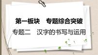 初中语文中考复习--汉字的书写与运用课件PPT