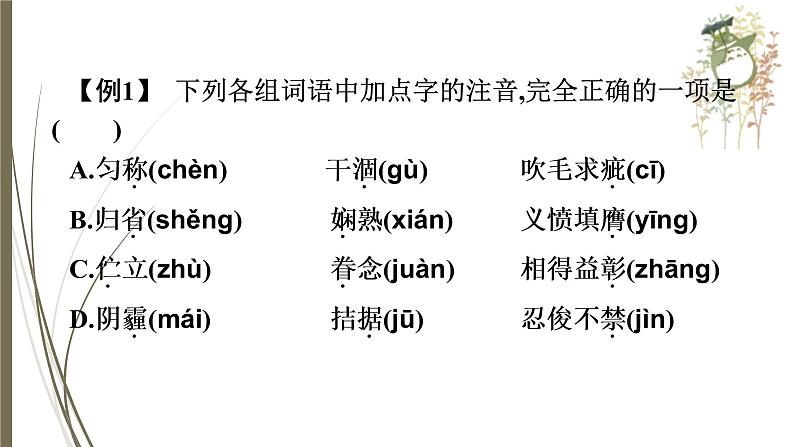 初中语文中考复习--字音的拼读与运用课件PPT第7页