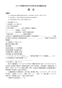 2021年湖南省邵阳市邵阳县长阳铺镇梽木山初级中学初中毕业学业考试语文模拟试卷(含答案)