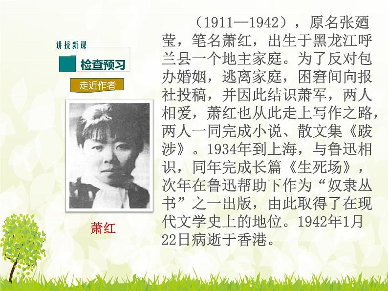 部编版七年级语文下册----回忆鲁迅先生（节选）-课件PPT第4页