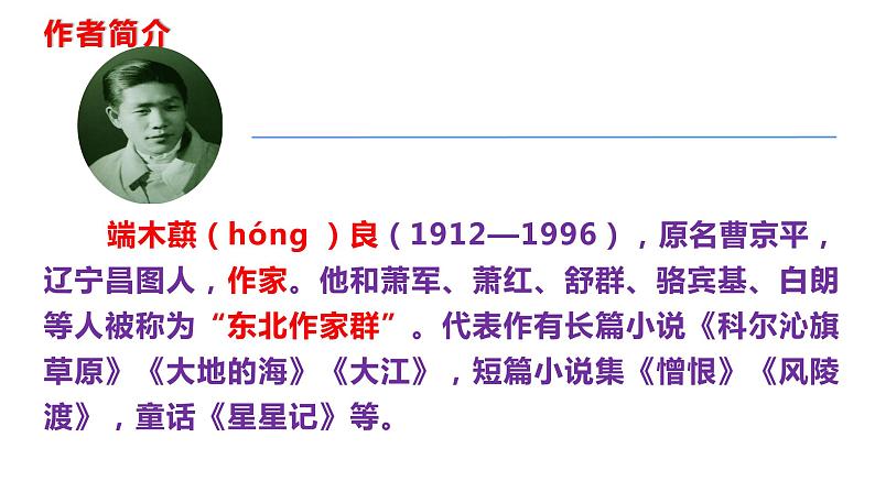 部编版七年级语文下册----8 土地的誓言 课件第4页