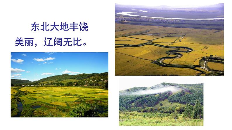 8 土地的誓言第1页