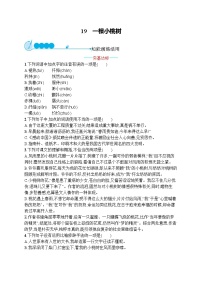 部编版七年级语文下册专项训练--19　一棵小桃树