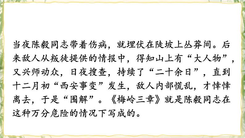 部编版九下语文 2 梅岭三章 课件PPT+教案06