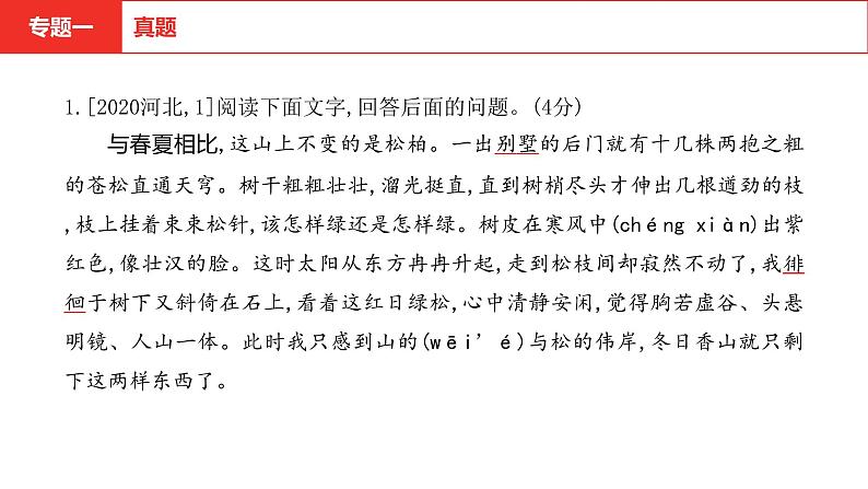 专题 字音、字形 专项复习课件 2022年中考语文复习第6页