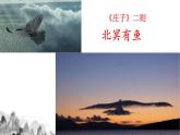 第21课《庄子二则——北冥有鱼》课件 2021—2022学年部编版语文八年级下册