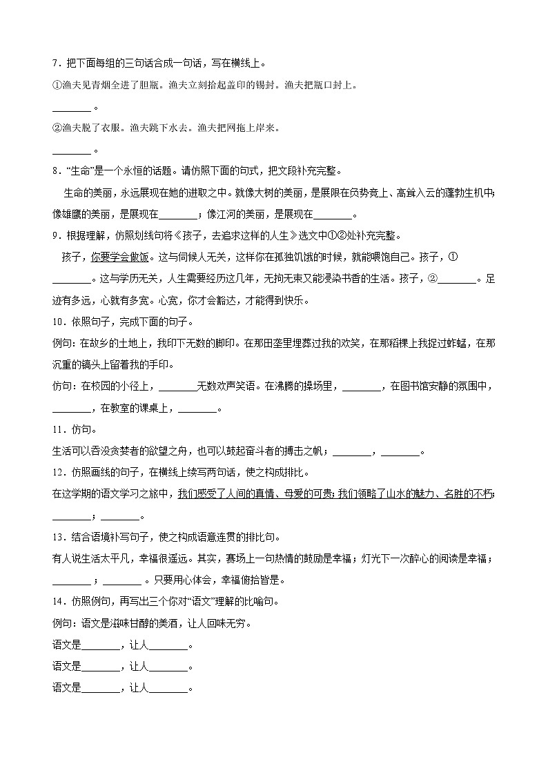 2020_2021年中考语文二轮 复习专题06句式变换与仿写知识点 练习第2页