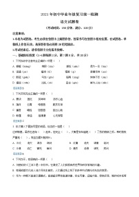 2021年云南省曲靖市麒麟区初中毕业年级复习统一检测语文试题及答案