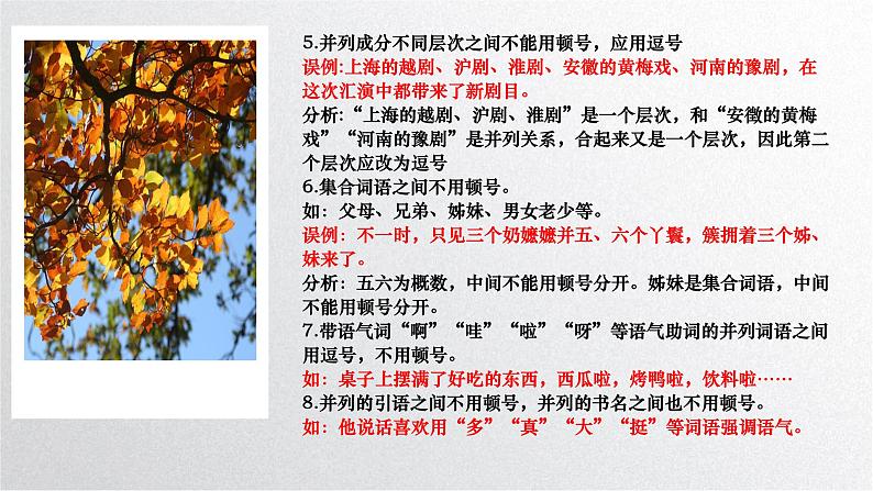 2022年中考语文二轮专项复习：标点符号用法指导课件（29张）第5页