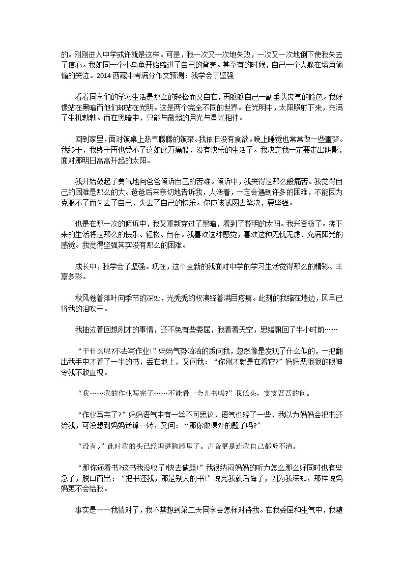 写人的中考满分作文优秀范文第2页