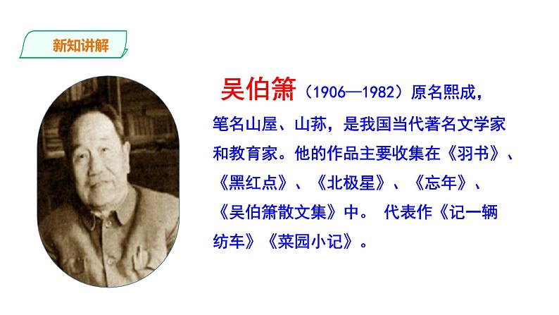 部编版八年级语文下学期----《灯笼》课件第6页