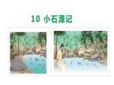 部编版八年级语文下学期----10 小石潭记-课件
