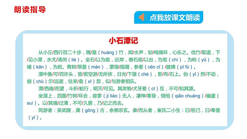部编版八年级语文下学期----10 小石潭记-课件06