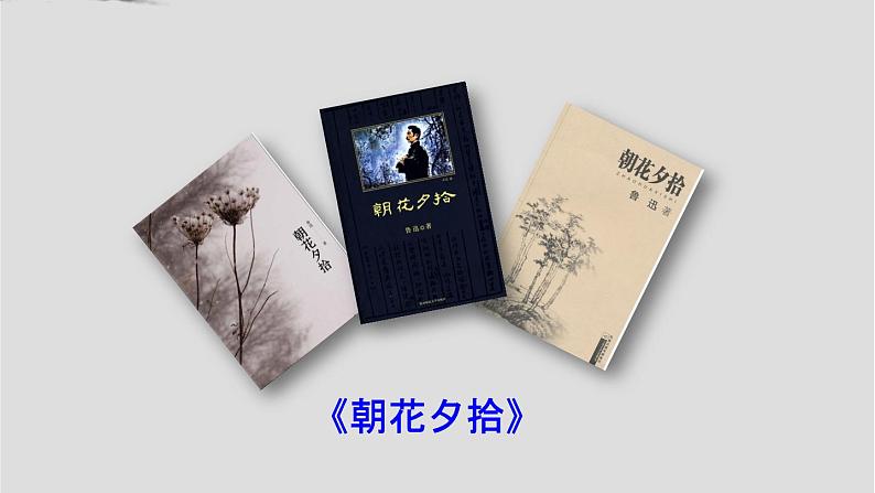 第三单元 10 阿长与《山海经》 课件（共19张）-部编版初中语文七年级下册第4页