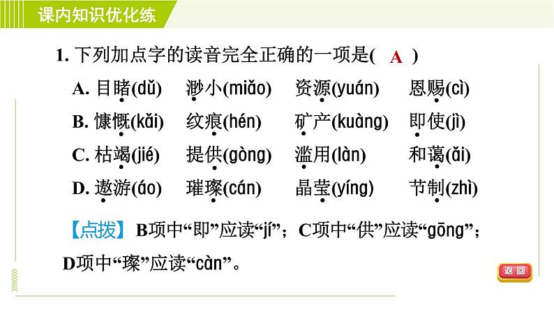 人教五四制六年级下册语文 第5单元 16. 只有一个地球 习题课件第5页