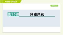 初中语文人教部编版七年级下册15 驿路梨花习题课件ppt
