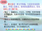 4海燕优质课件