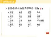 人教版八年级下册语文 第4单元 习题课件