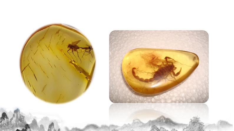 第8课《时间的脚印》课件+教学设计+同步练习06