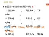 人教版七年级下册语文 第4单元 14　叶圣陶先生二三事 习题课件