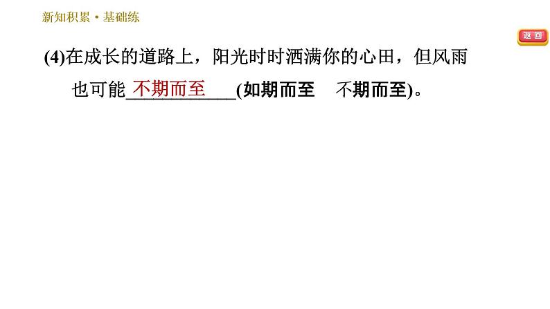 人教版七年级下册语文 第6单元 24　带上她的眼睛 习题课件第8页