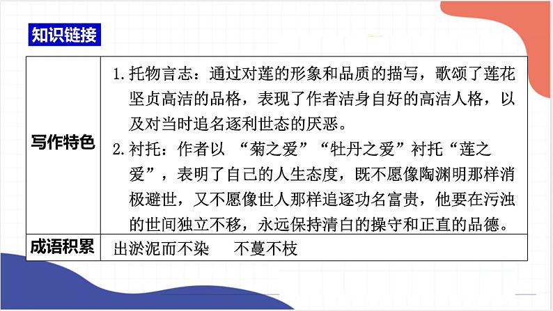 2022年中考语文一轮复习：《爱莲说、河中石兽》课件（共28张PPT）第8页