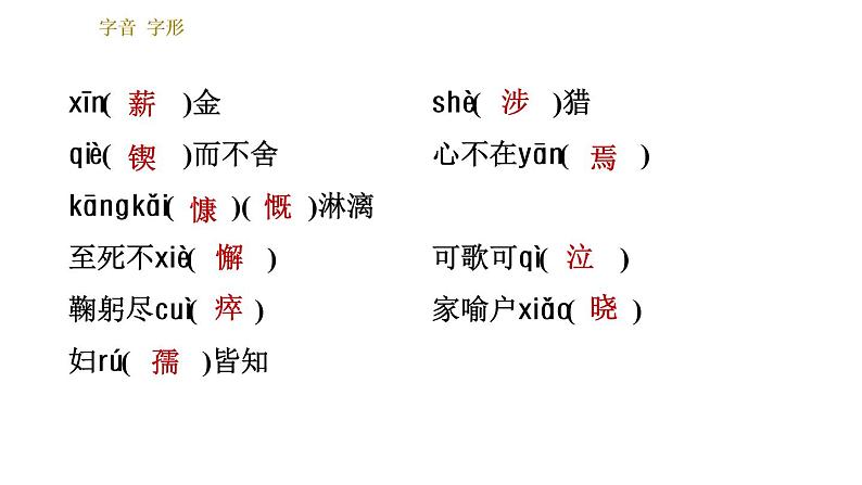 人教版七年级下册语文 期末专题训练 习题课件07