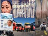 02 第二单元“学习抒情”-部编版七下语文作文单元训练PPT
