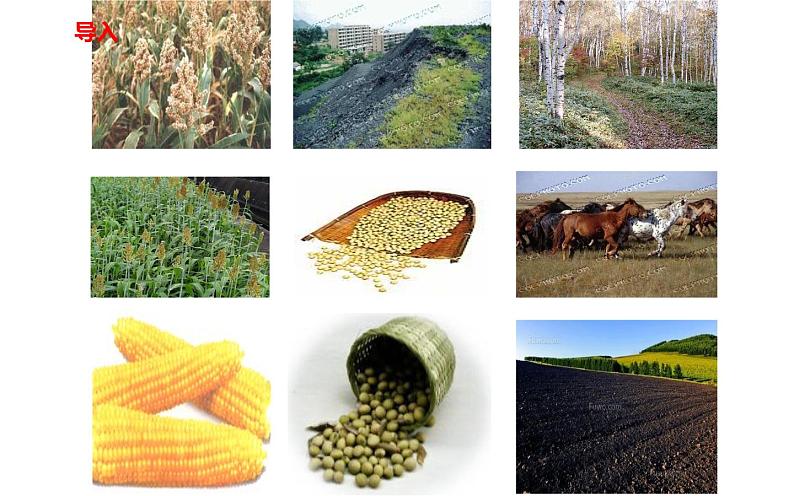 人教版（部编版）初中语文七年级下册  8.土地的誓言   课件第4页